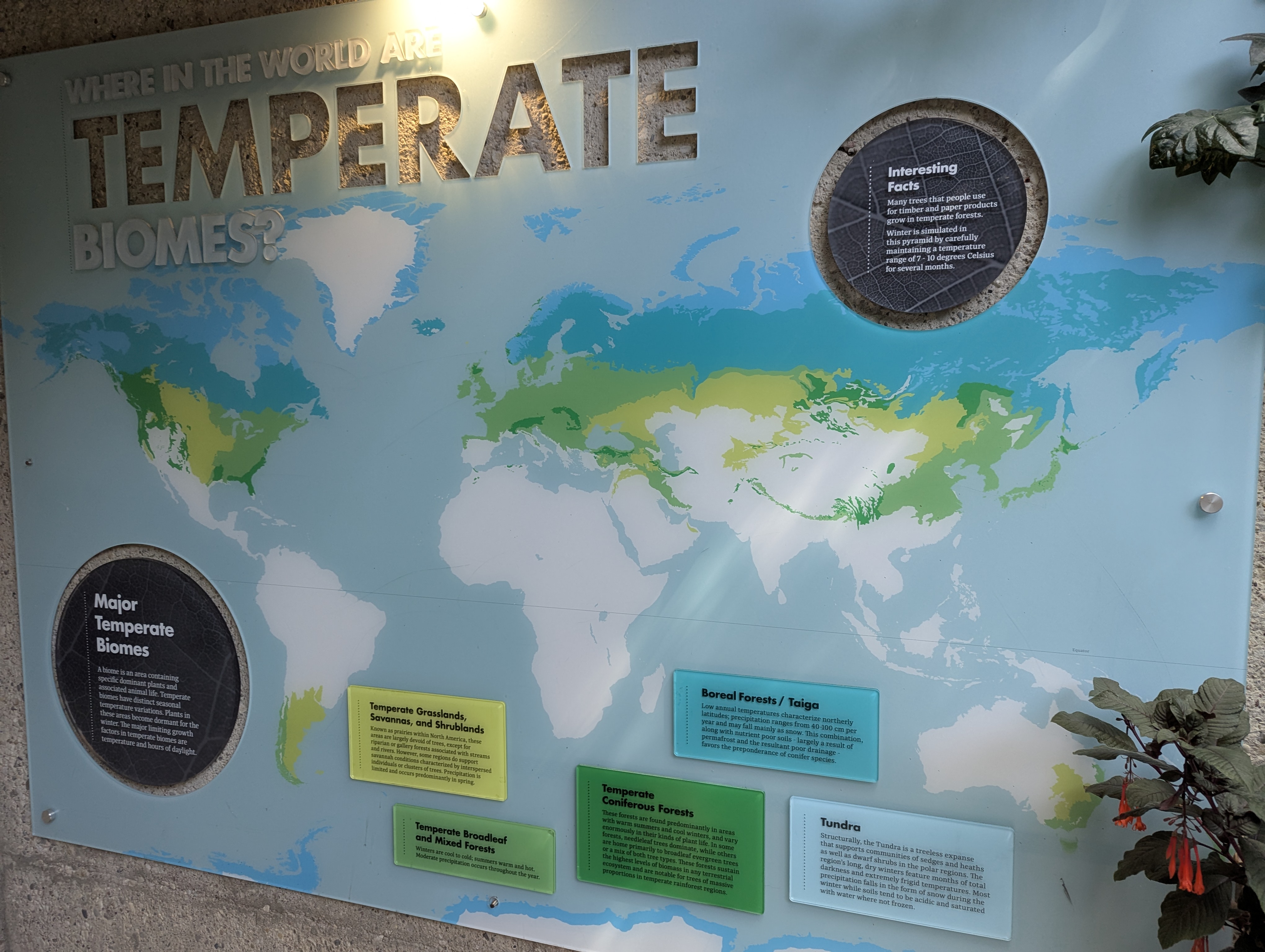 Birthday Trip to Canada, Edmonton, Pyramids, Muttart Observatory